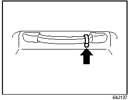 Coat Hooks (if equipped)