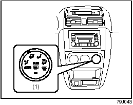 Type 1