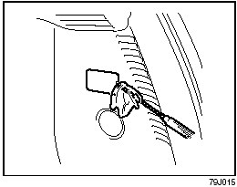 Luggage compartment light (SX4)