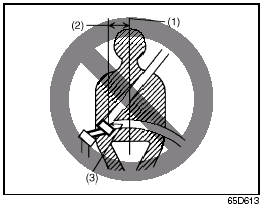 Seat Belt Extender