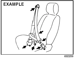 Seat Belt Inspection